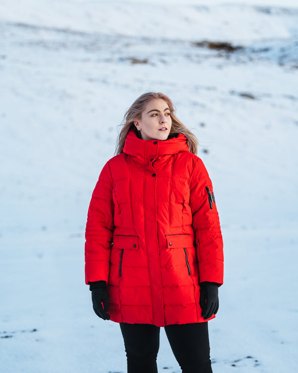 North Alpine About Alpine North | Premium Winter Jackets & Accessories – Alpine North US