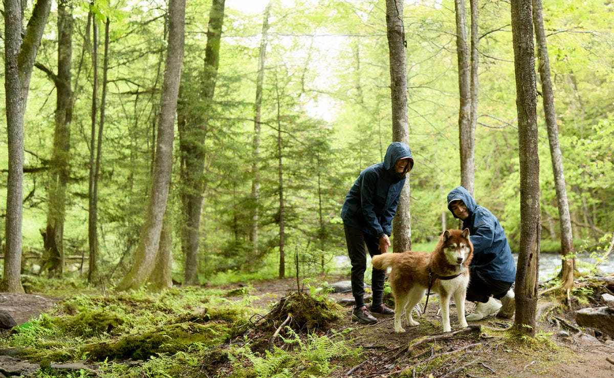 North Alpine Alpine North - Shop Winter Jackets, Puffers & Parkas – Alpine North US